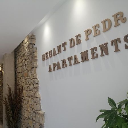 Gegant De Pedra Apartaments Adzaneta المظهر الخارجي الصورة