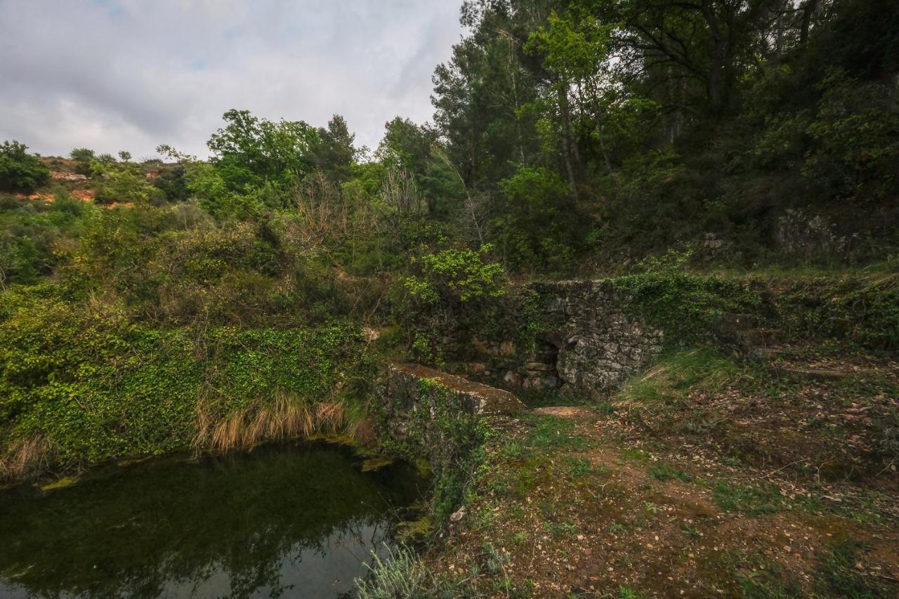 Gegant De Pedra Apartaments Adzaneta المظهر الخارجي الصورة